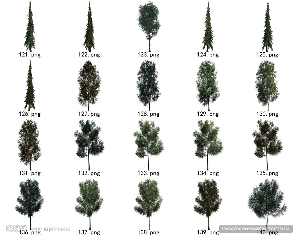 免扣高清景观树国外植物素材