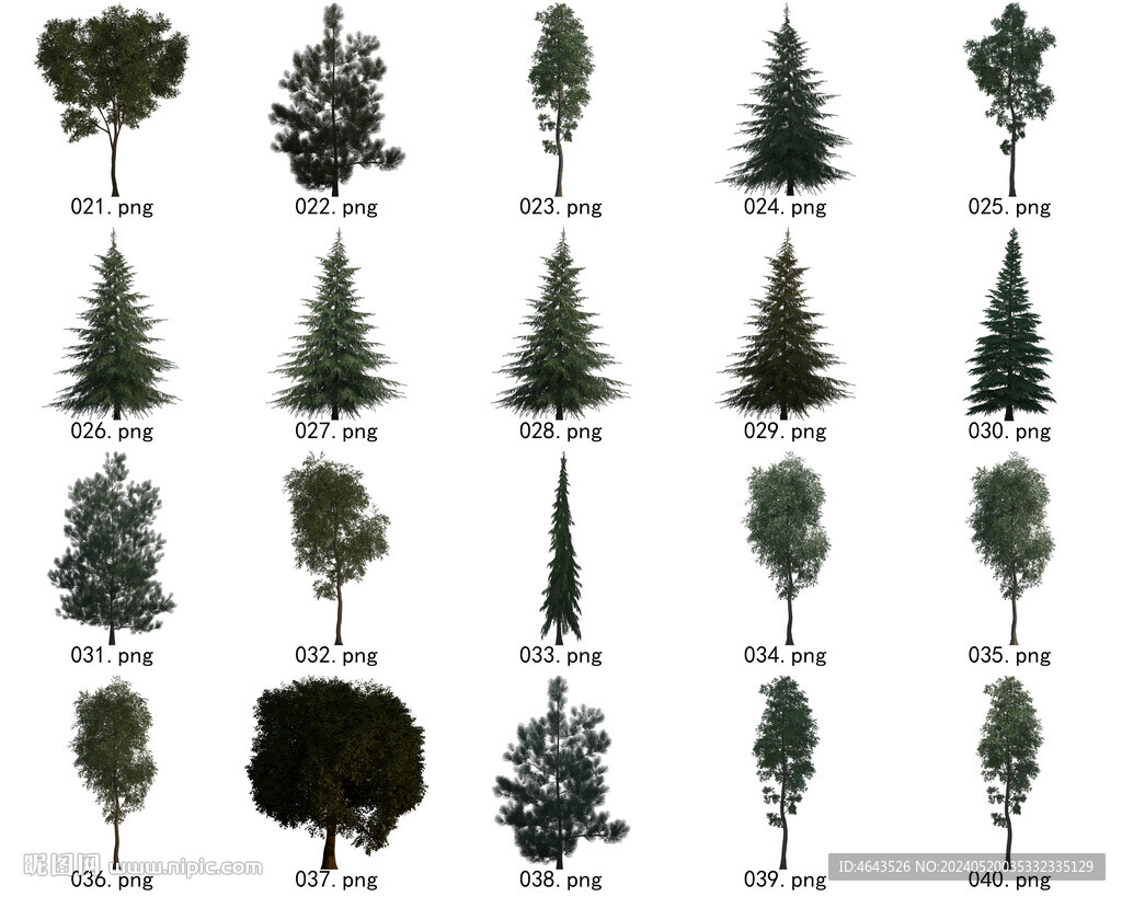 免扣高清景观树国外植物素材