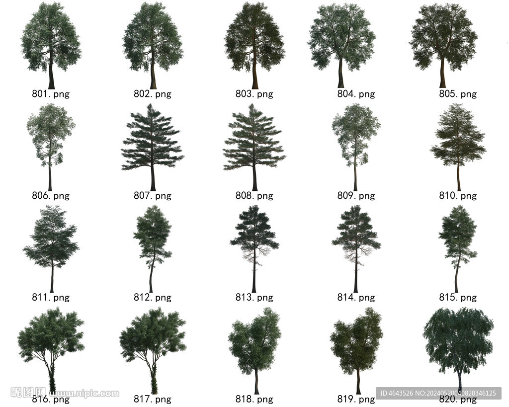 免扣高清景观树国外植物素材