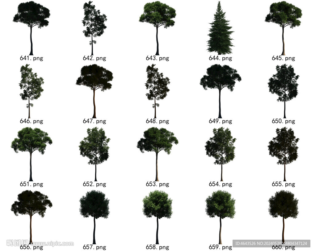 免扣高清景观树国外植物素材