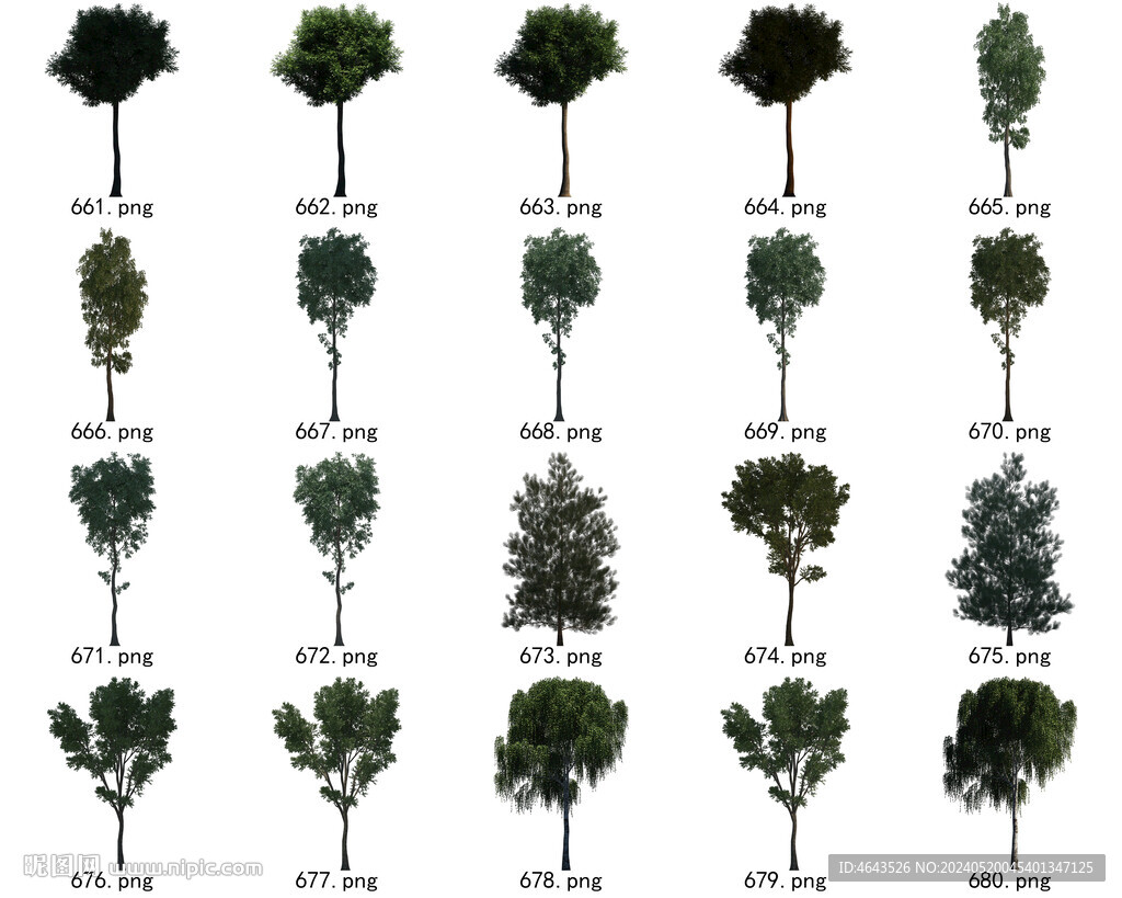 免扣高清景观树国外植物素材