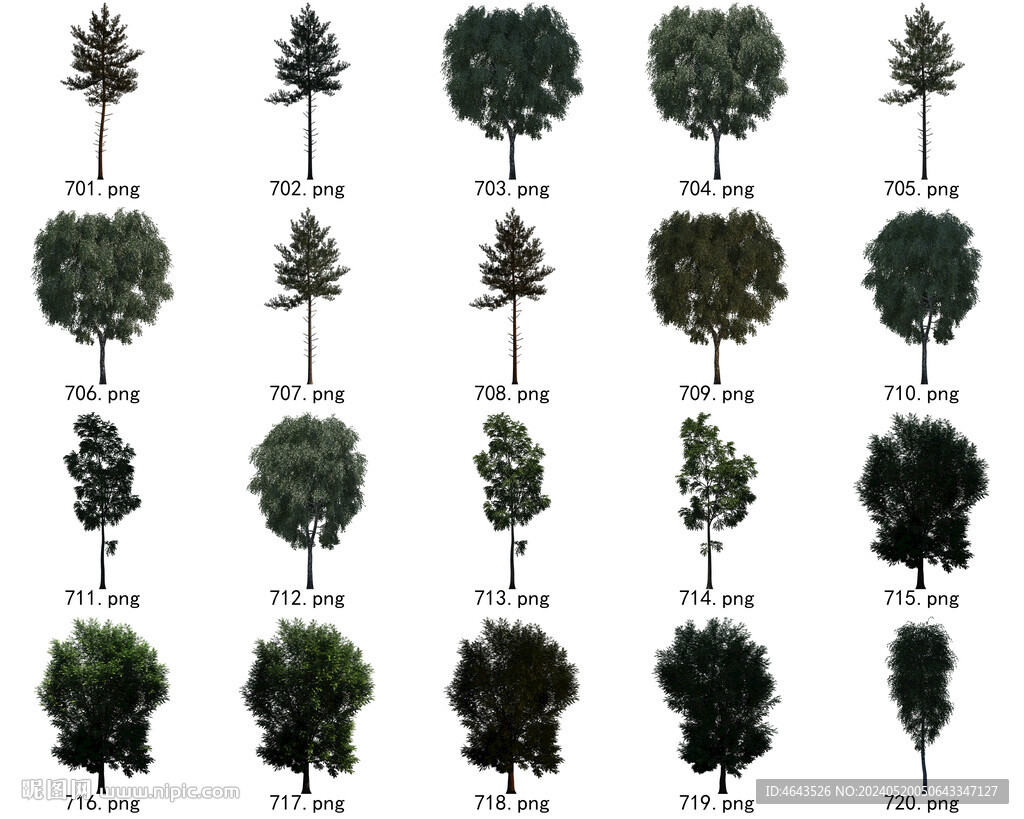 免扣高清景观树国外植物素材