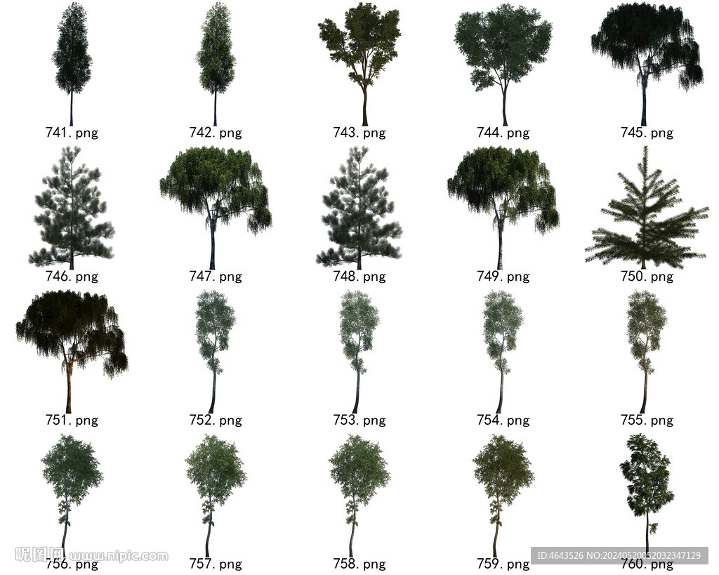 免扣高清景观树国外植物素材