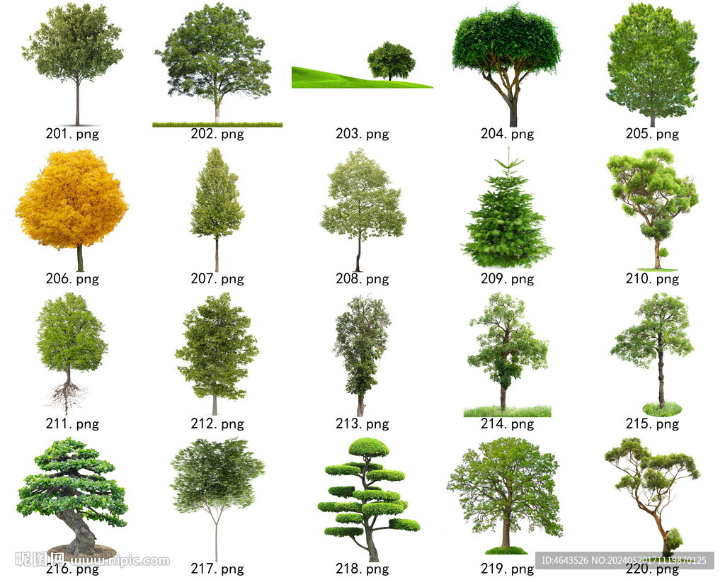 免扣高清景观树常绿乔木素材