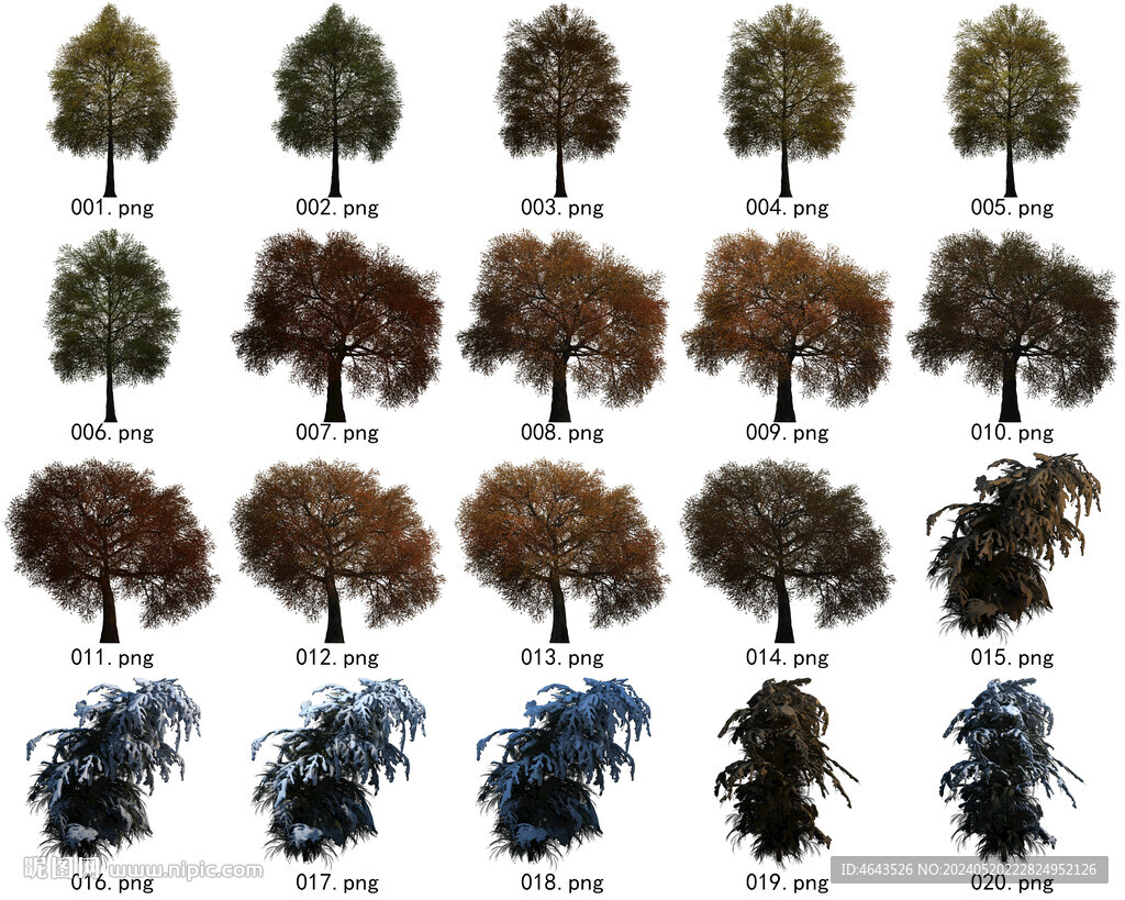 免扣高清景观树常用乔木贴图素材