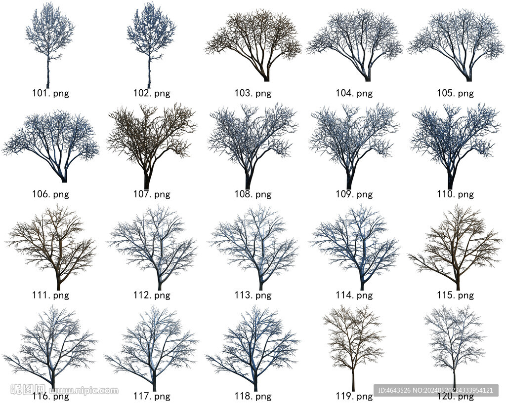 免扣高清景观树常用乔木贴图素材