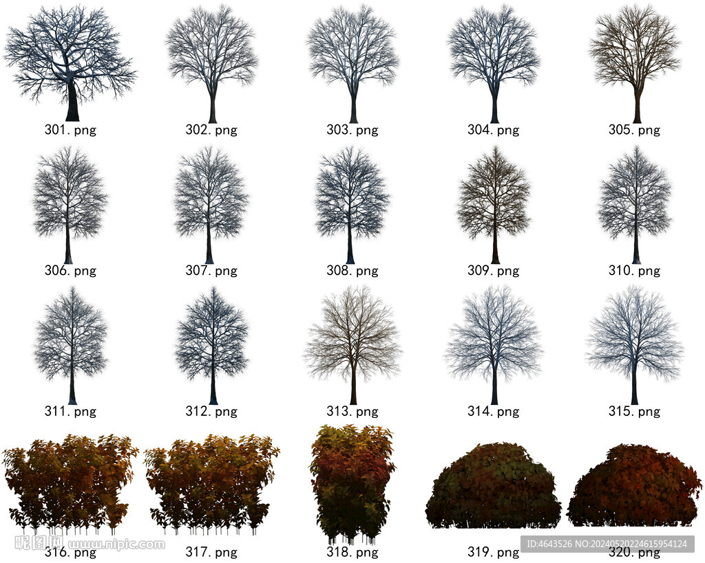 免扣高清景观树常用乔木贴图素材