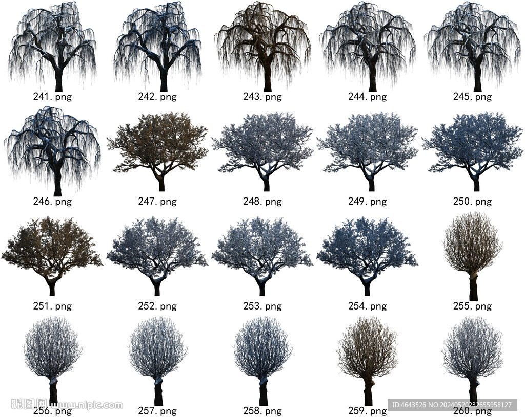 免扣高清景观树常用乔木贴图素材