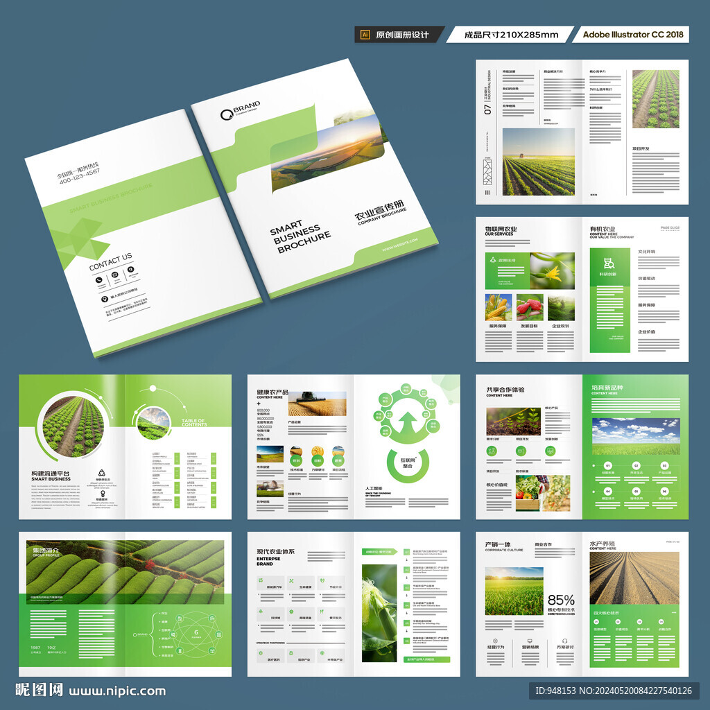 农产品宣传册
