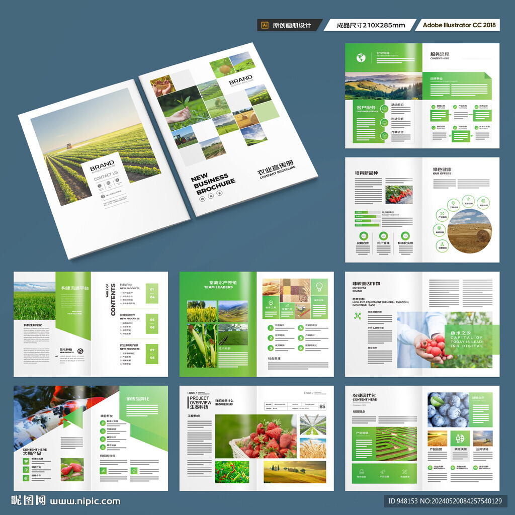 农产品画册