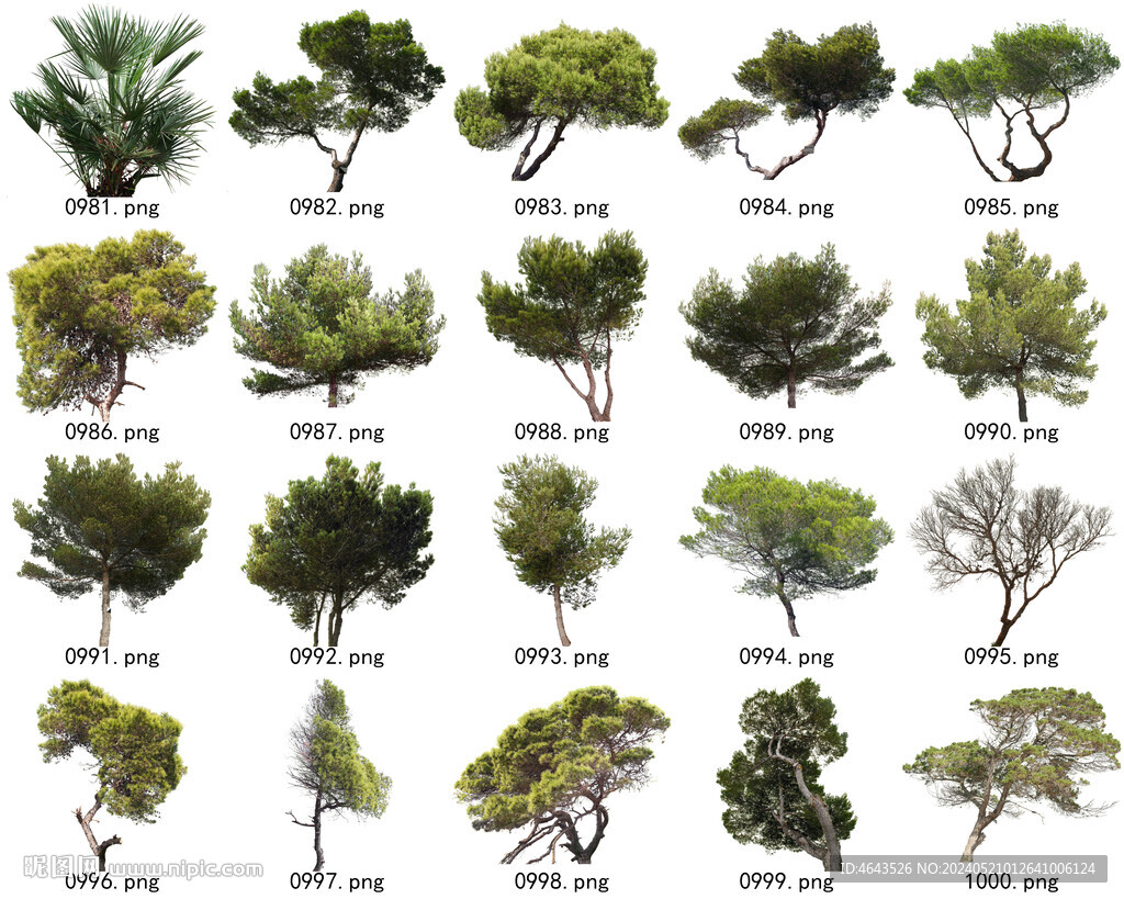 免扣高清景观树常用乔木贴图素材