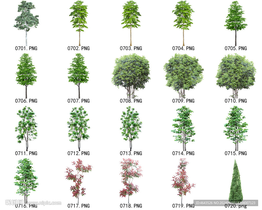 免扣高清景观树常用乔木贴图素材