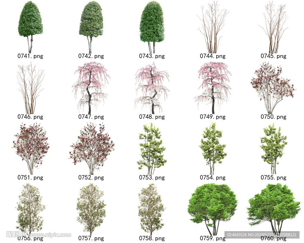 免扣高清景观树常用乔木贴图素材