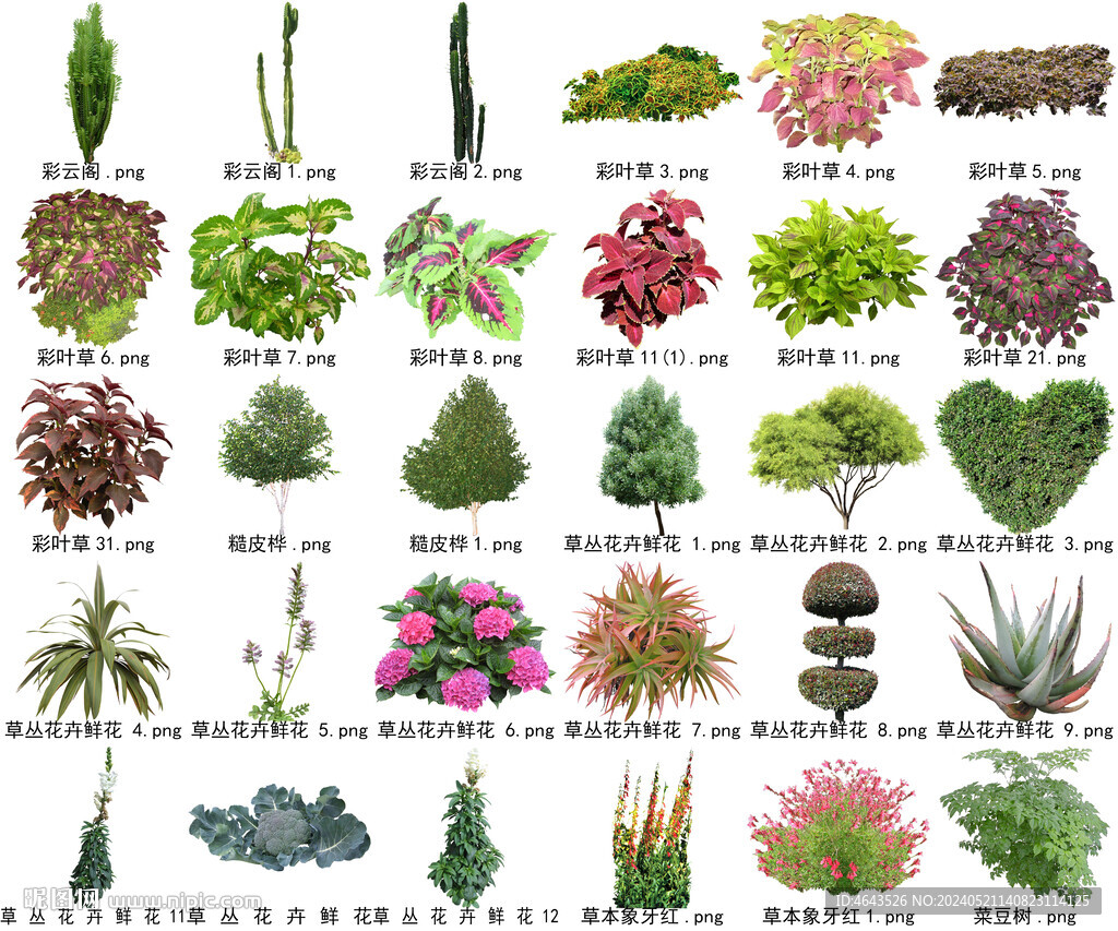 高清树木花卉绿植免抠贴图素材 