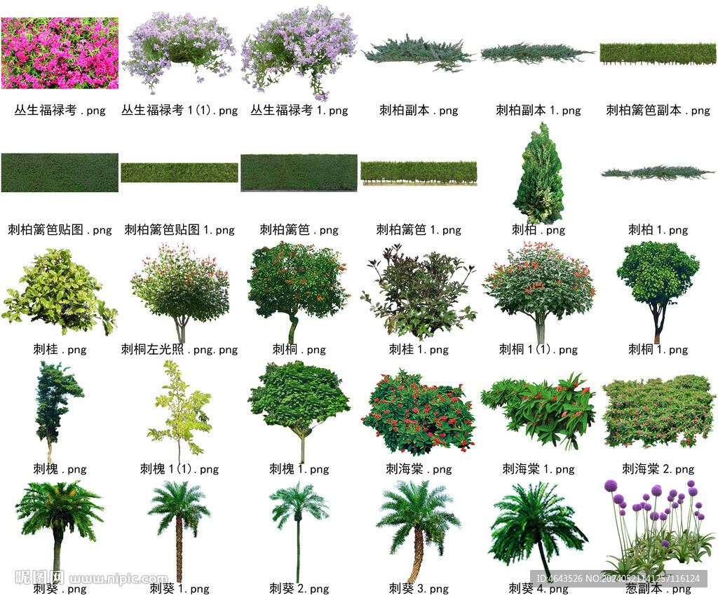 高清树木花卉绿植免抠贴图素材 