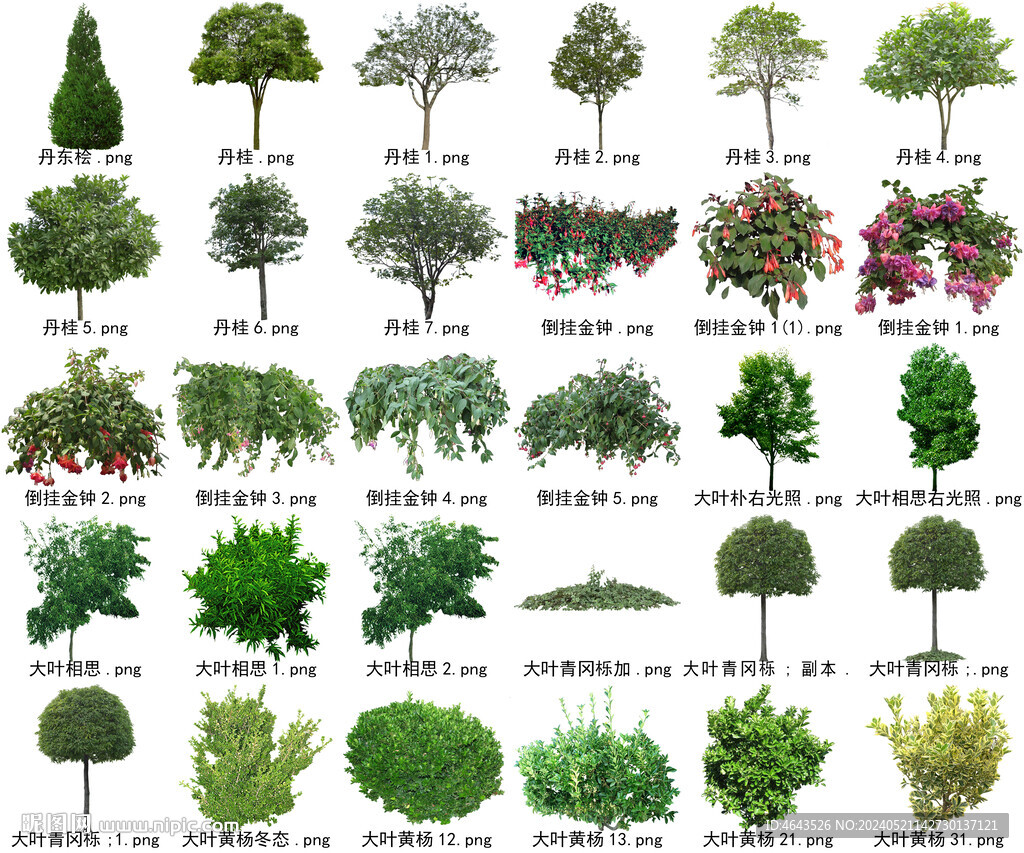 高清树木花卉绿植免抠贴图素材 