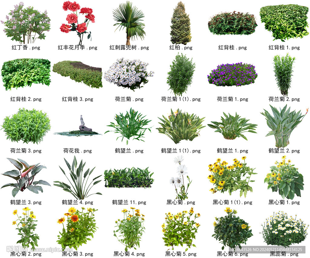 高清树木花卉绿植免抠贴图素材 