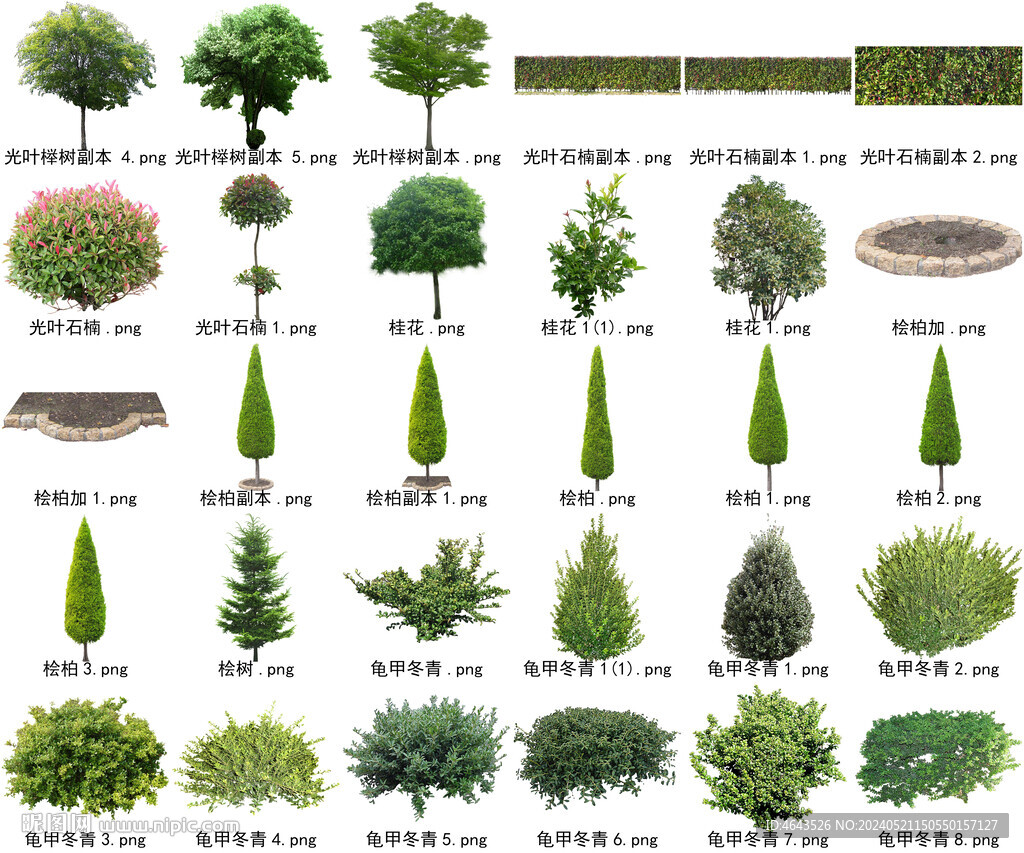 高清树木花卉绿植免抠贴图素材 