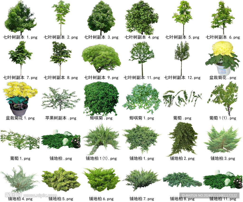 高清树木花卉绿植免抠贴图素材 