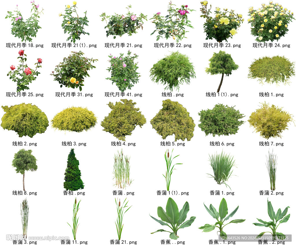 高清树木花卉绿植免抠贴图素材 