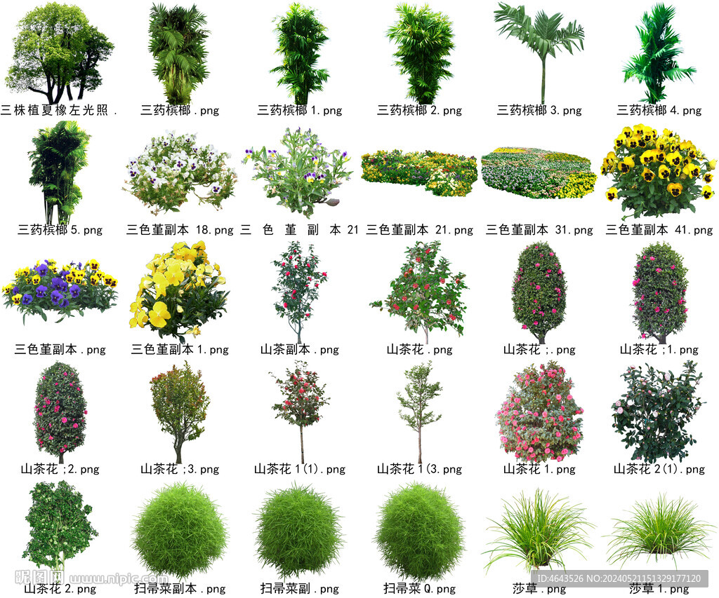 高清树木花卉绿植免抠贴图素材 