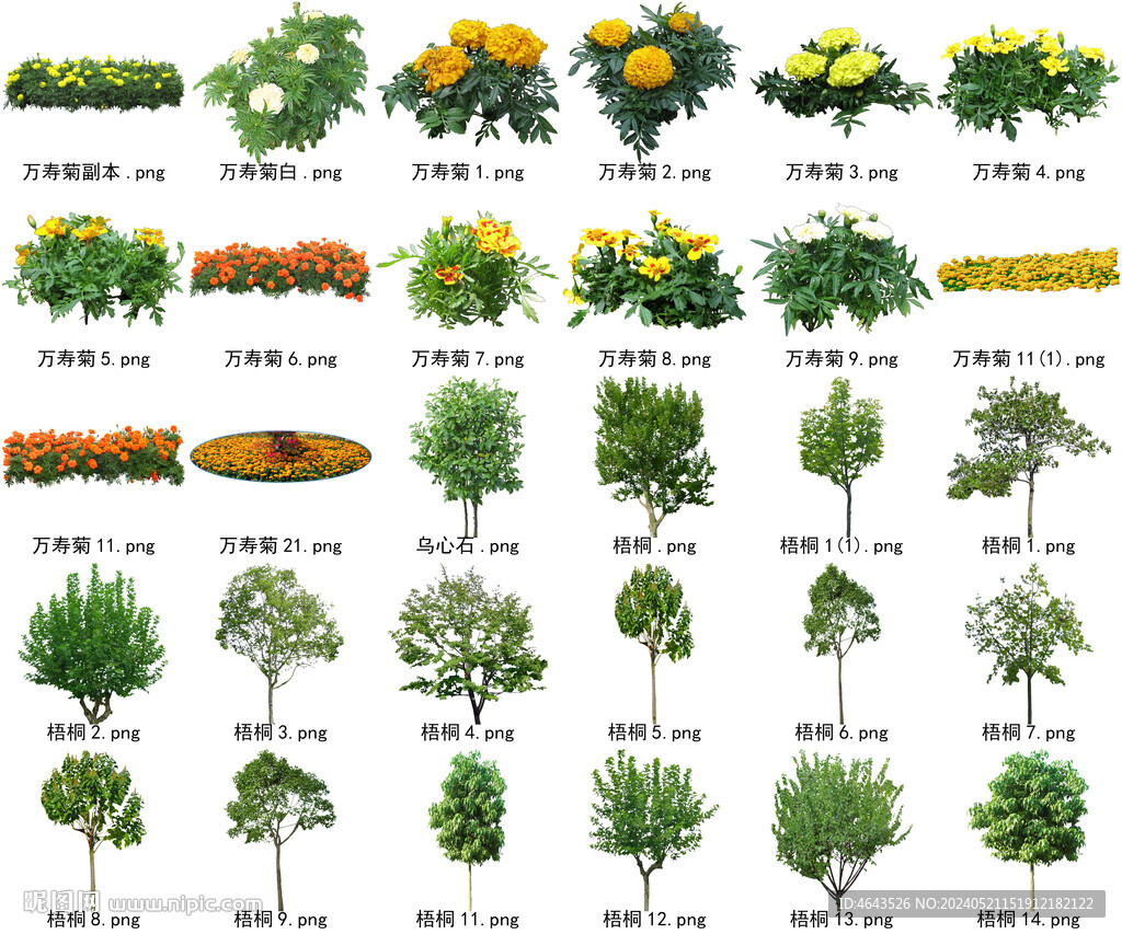 高清树木花卉绿植免抠贴图素材 