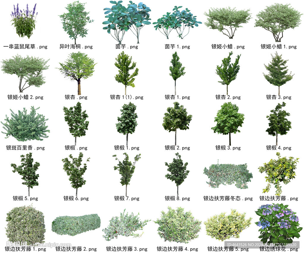 高清树木花卉绿植免抠贴图素材 