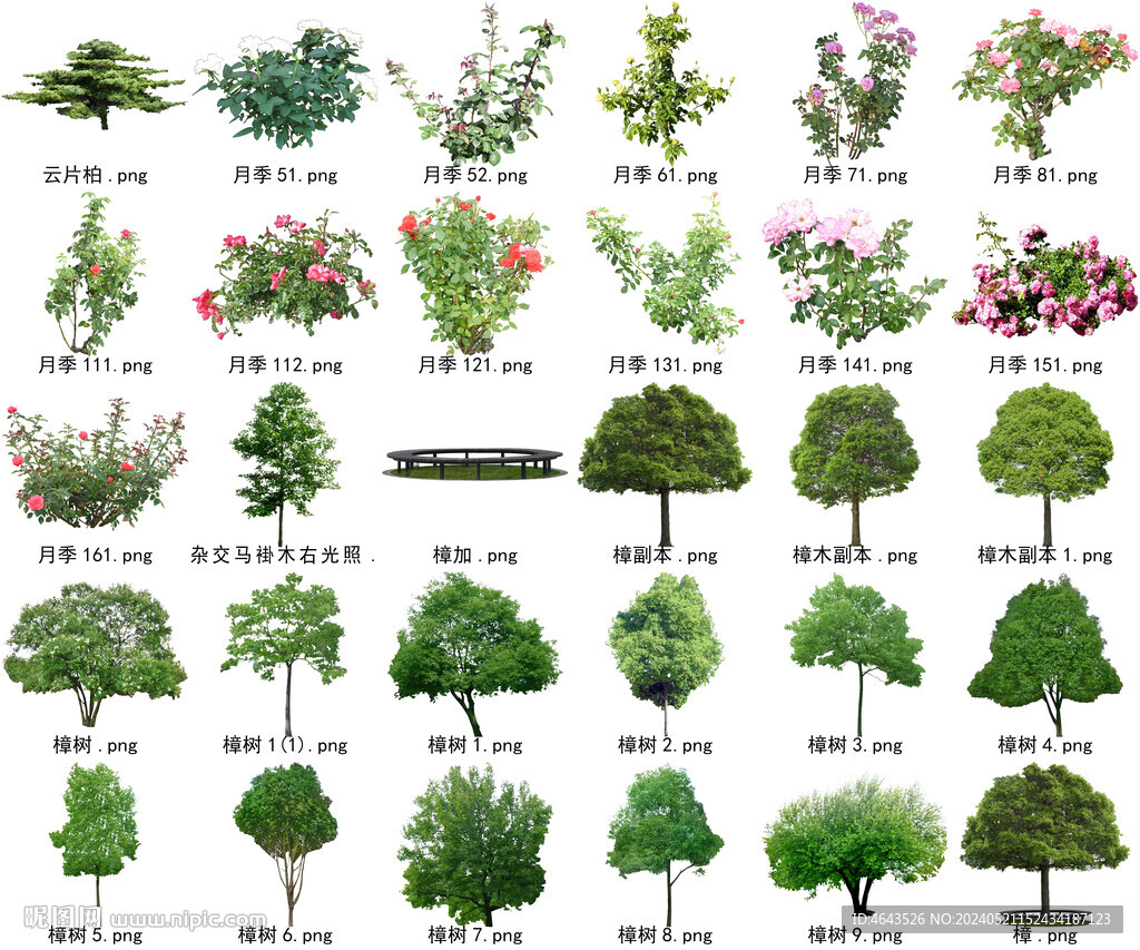 高清树木花卉绿植免抠贴图素材 