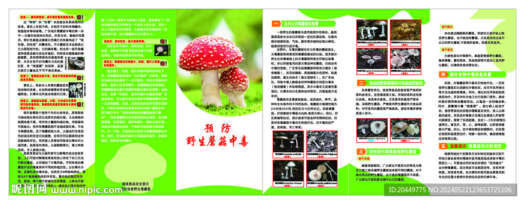 预防野生毒蘑菇中毒
