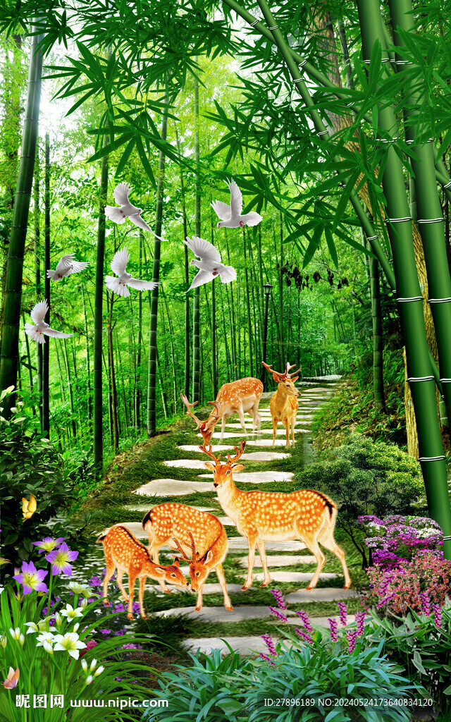 竹林风景