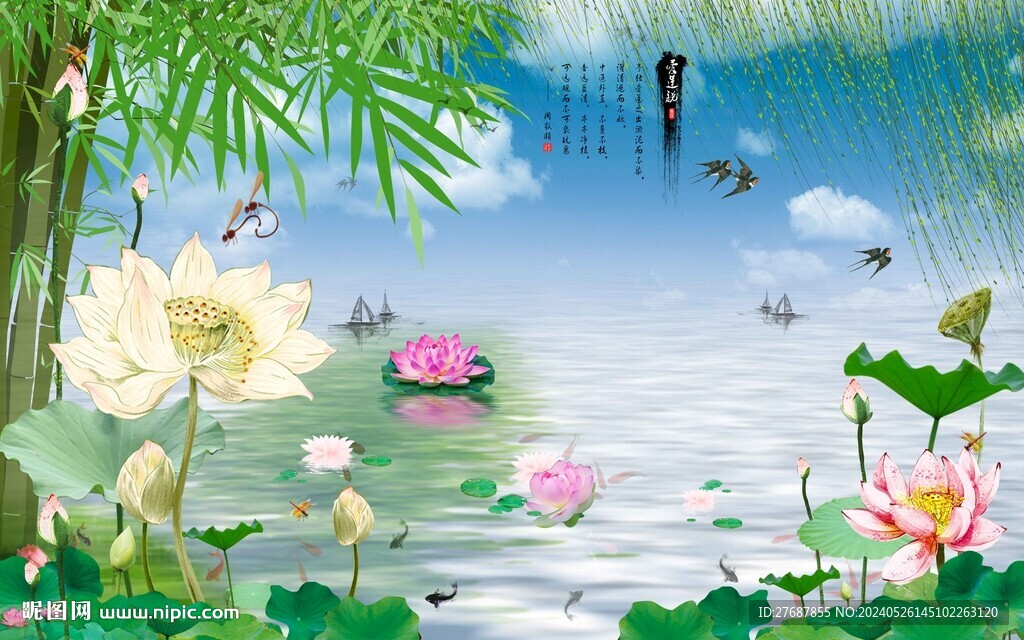 荷花图