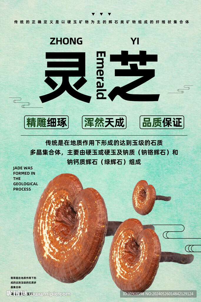 灵芝