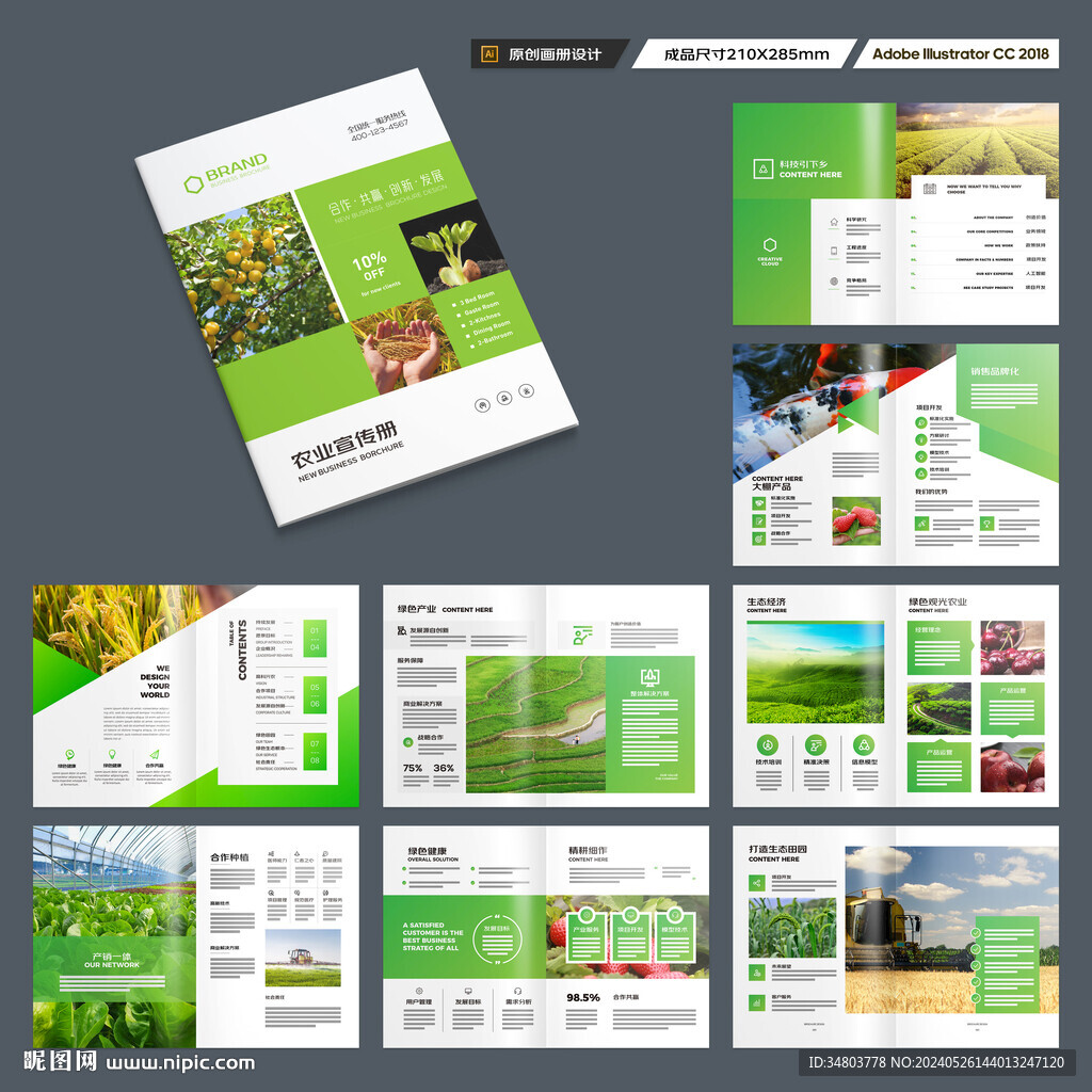 农产品宣传册