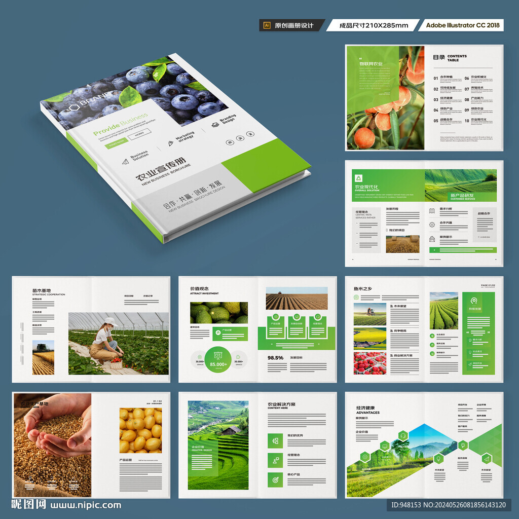 农产品宣传册