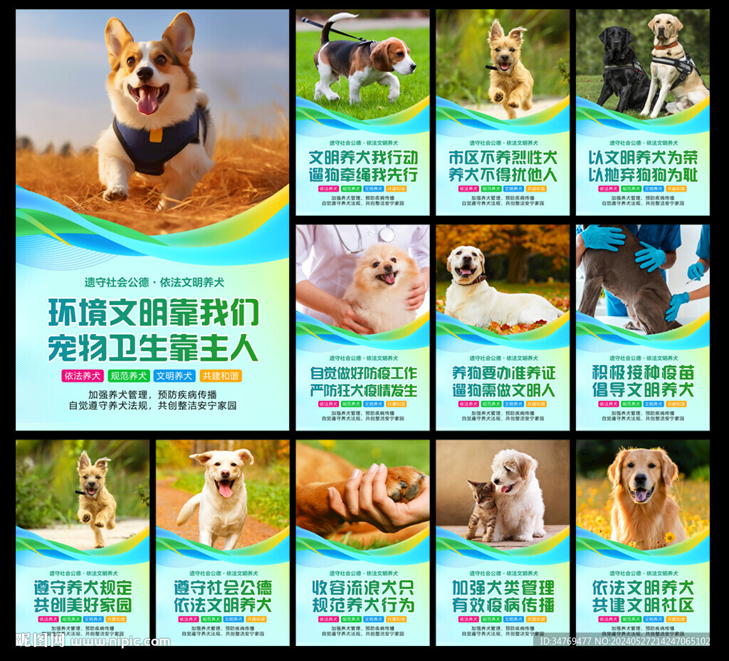 文明养犬图片