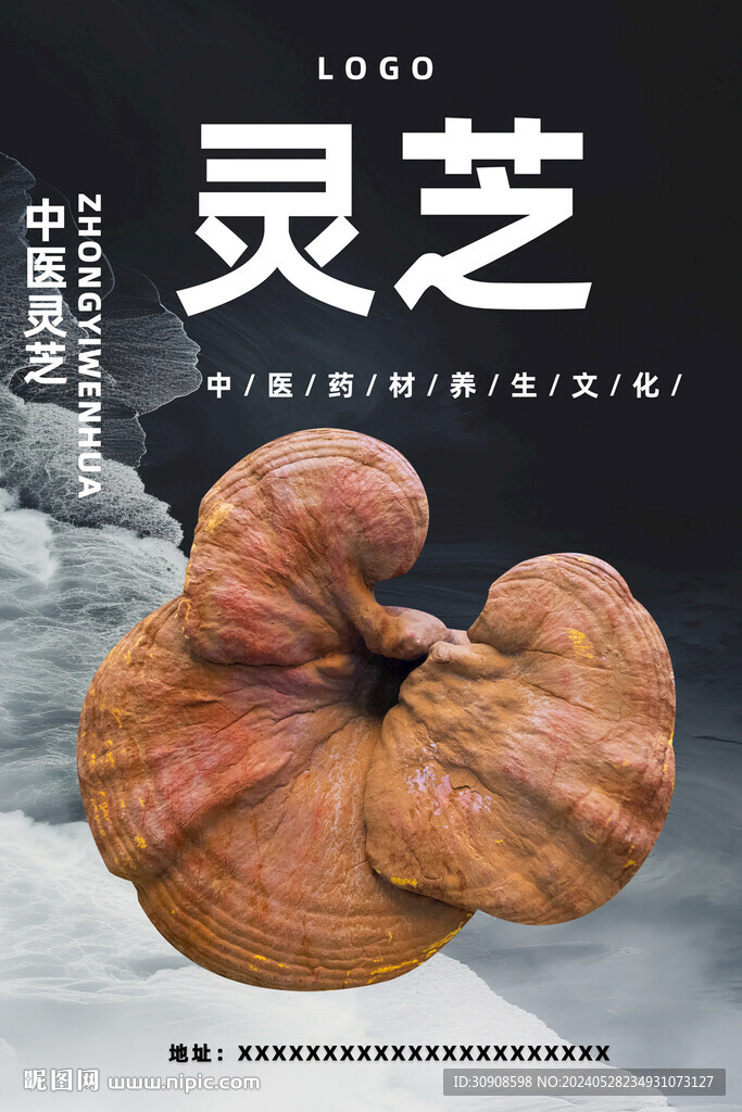 灵芝