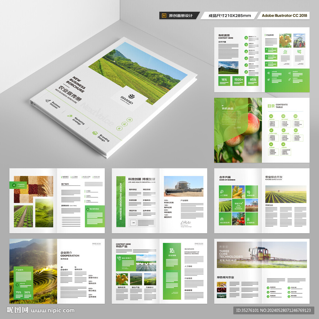 农产品宣传册