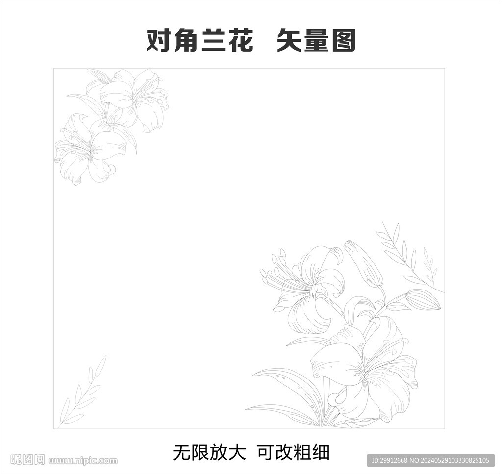 对角兰花 矢量图