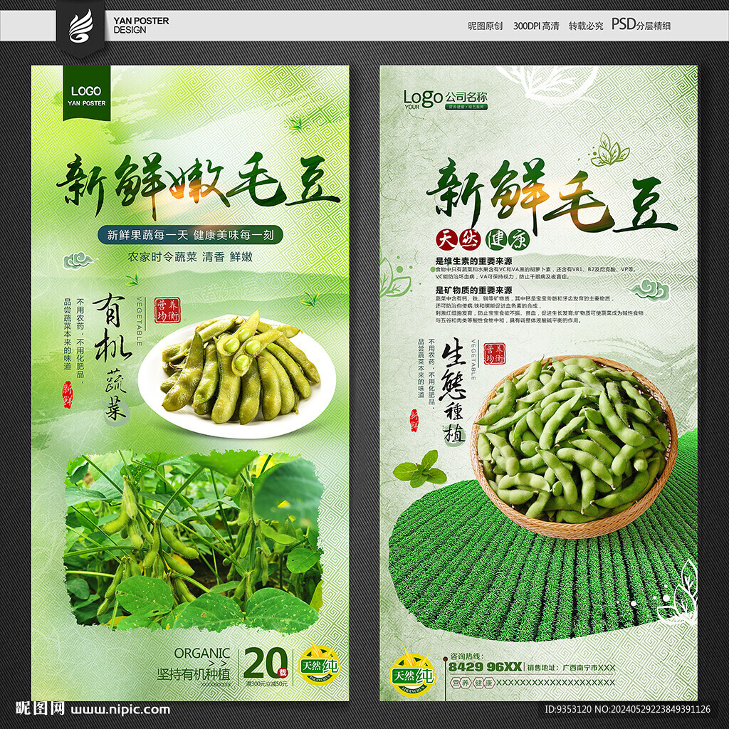 毛豆