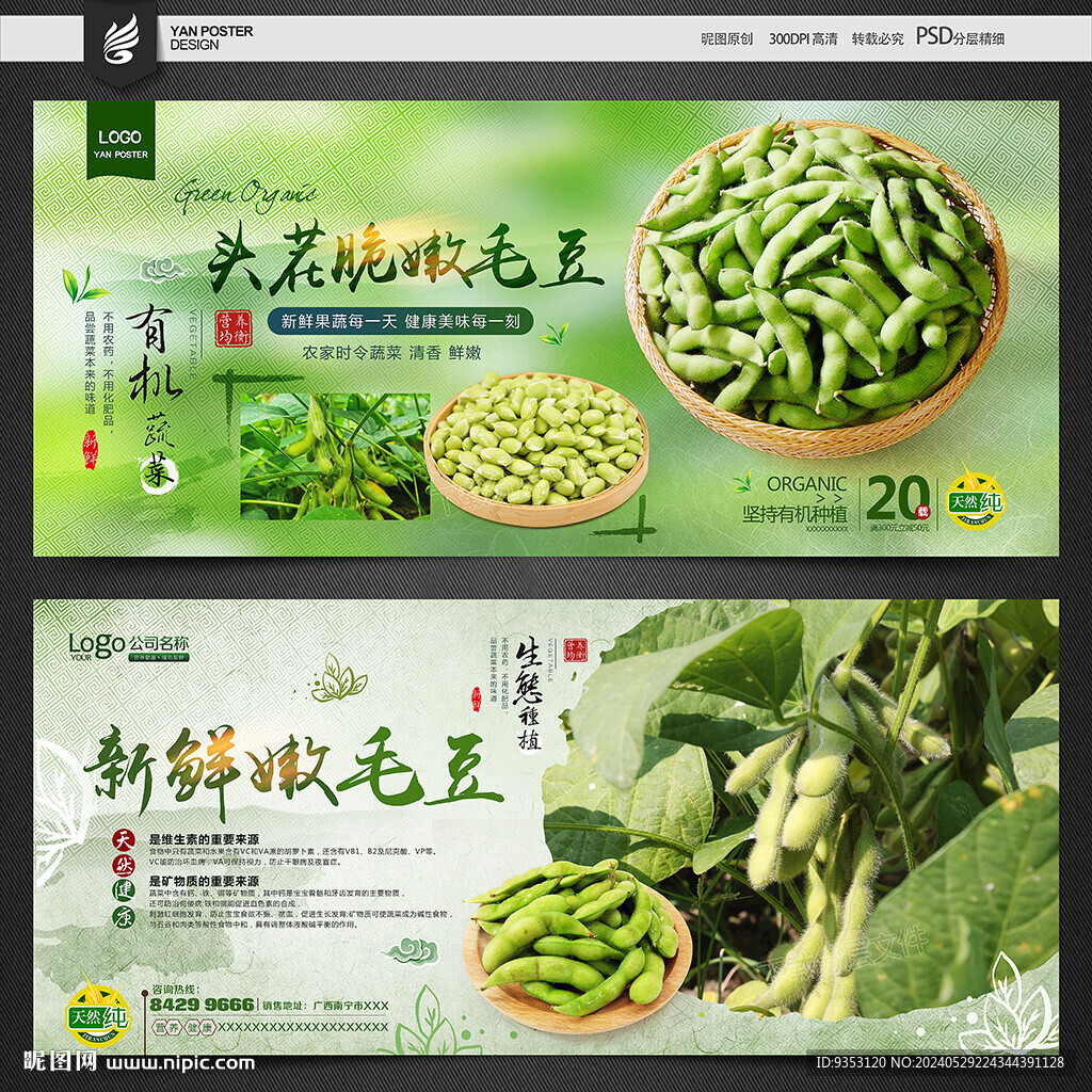 毛豆