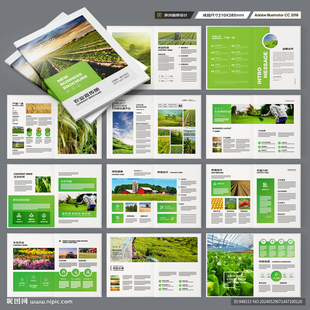 农产品画册