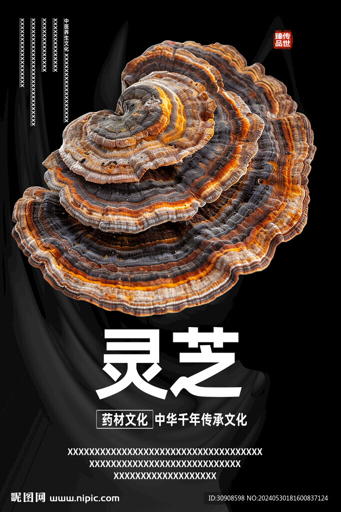 灵芝