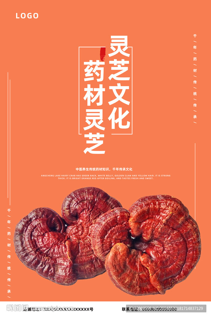灵芝