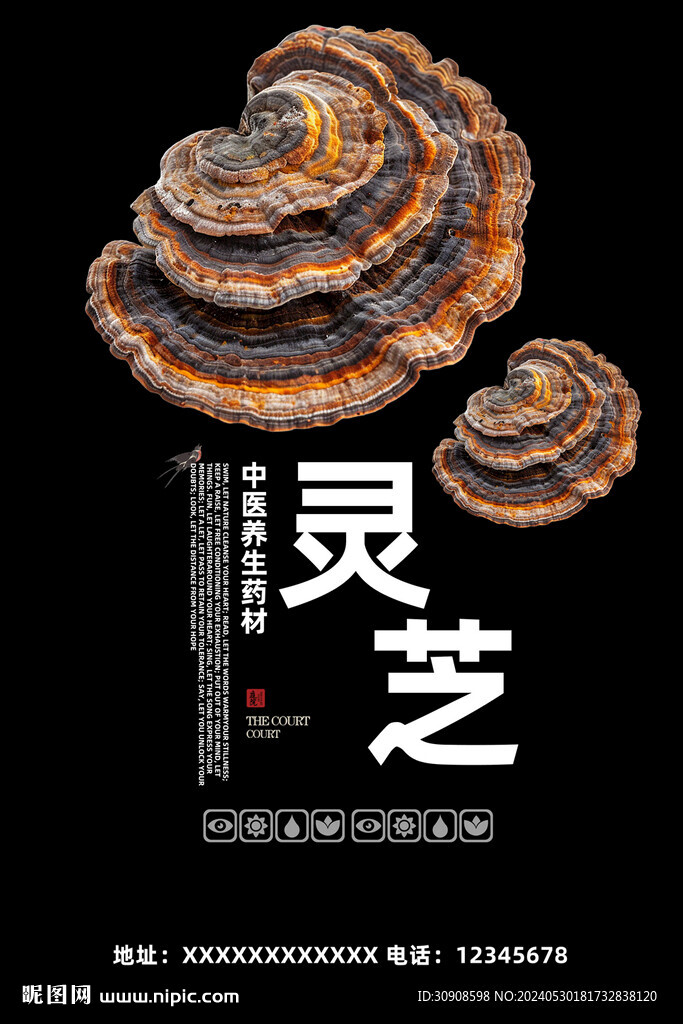 灵芝