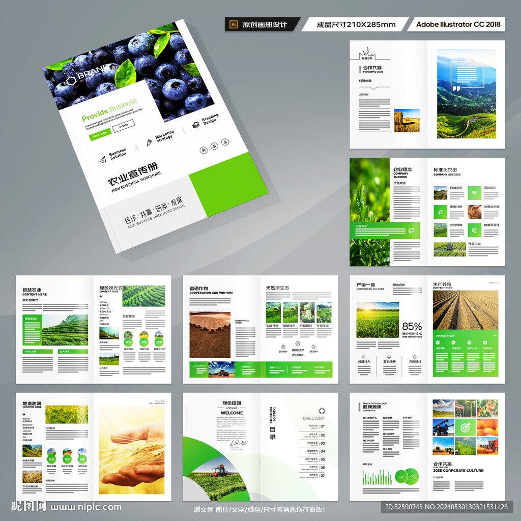 农产品宣传册