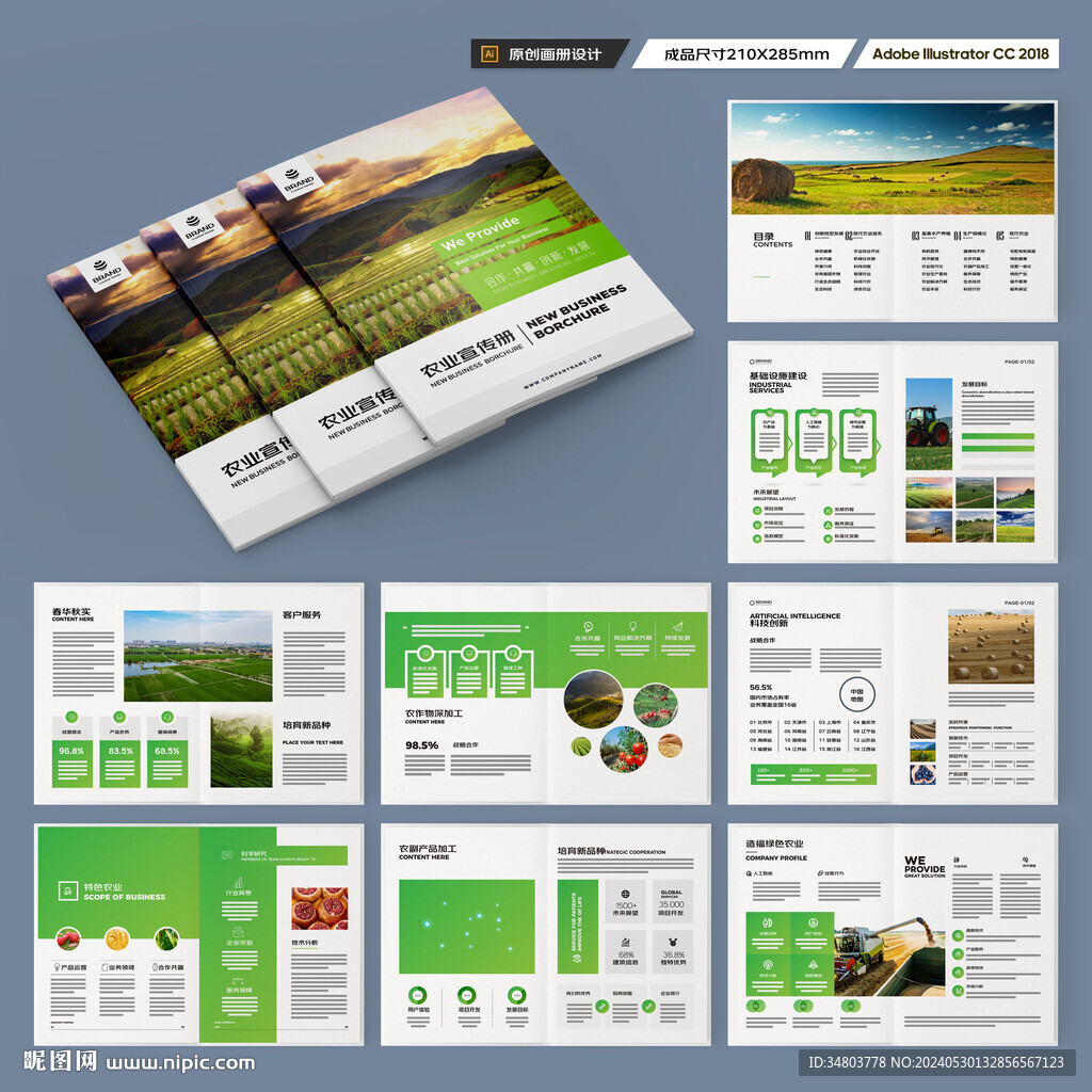 农产品画册