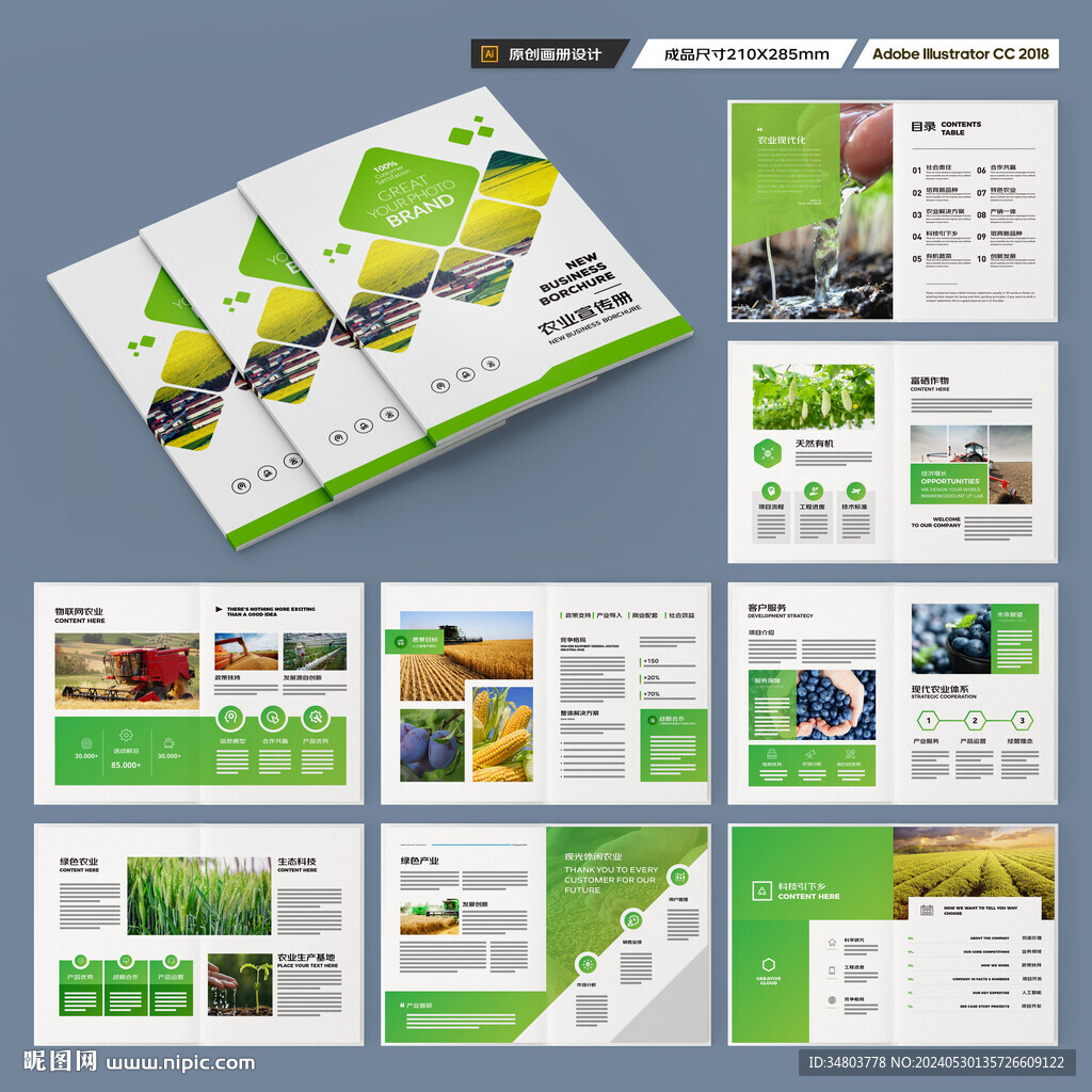 农业宣传册