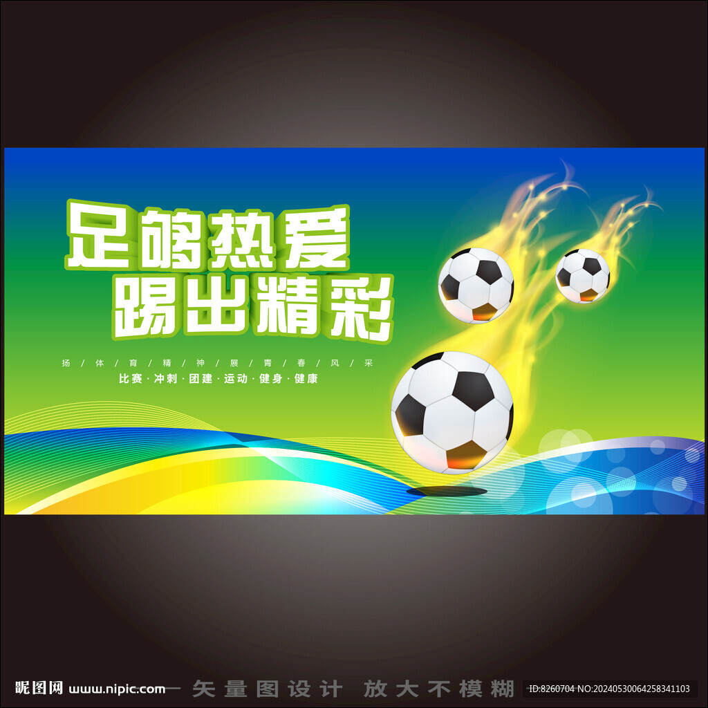 足球运动