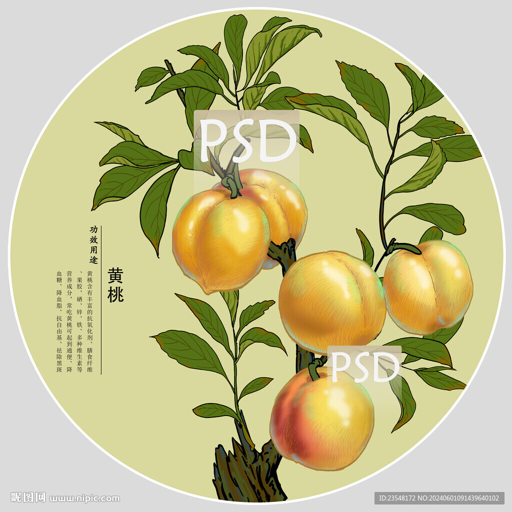 黄桃包装手绘装饰画