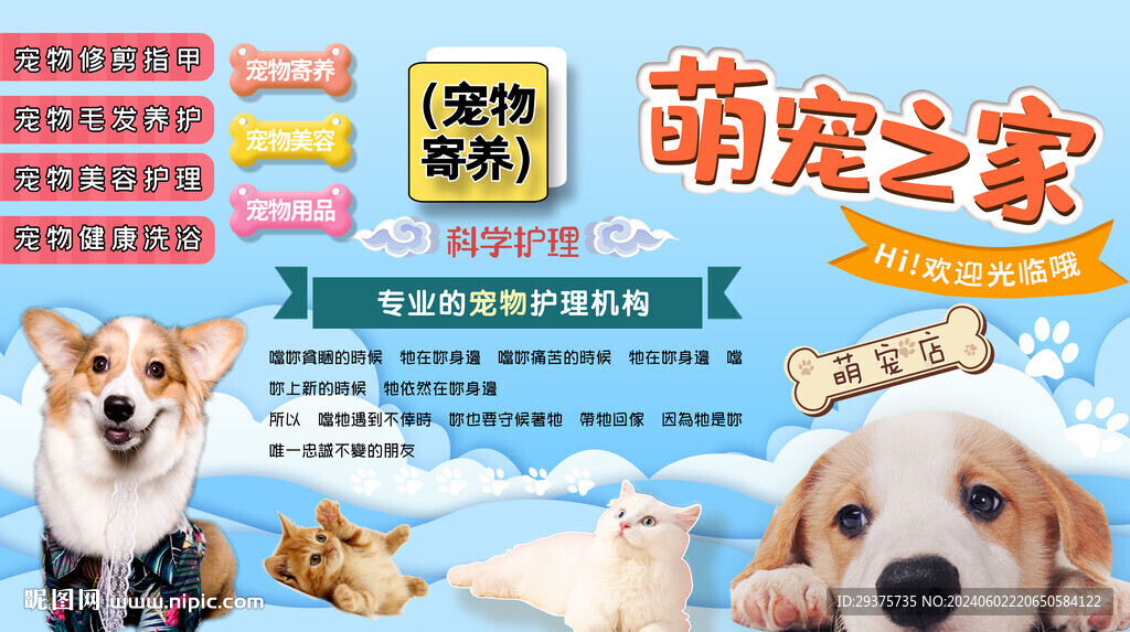 宠物之家背景墙